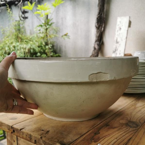 Large Bowl (chipped) The Nicholson Gallery