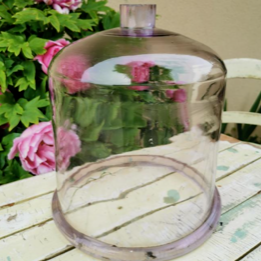 Glass Garden Cloche with Opening at Top