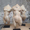 Plaster Free Form Busts by Belgian artist