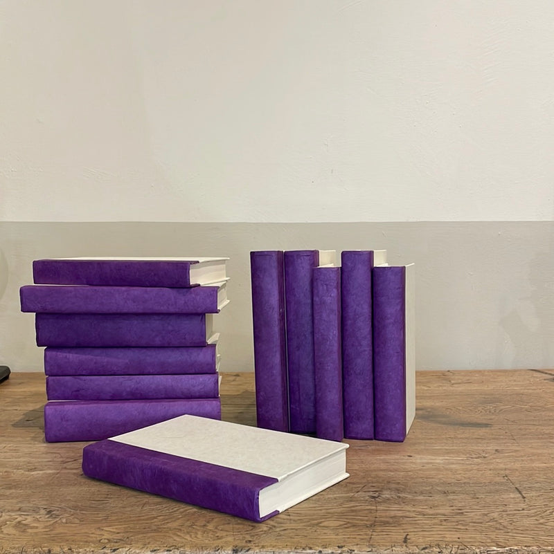 Books-Flat-Purple