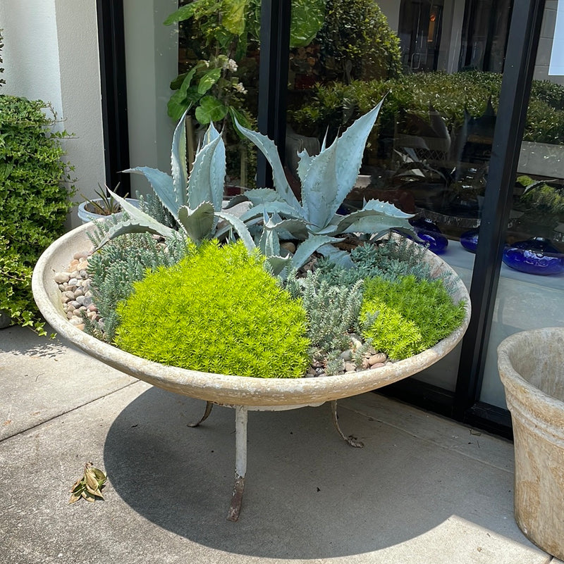 Enormous Round Planter On Iron Stand (Planted)