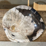 Petrified Wood Bowl-Cream/ Black