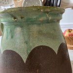 Green and Brown Large Uncommon Pitcher