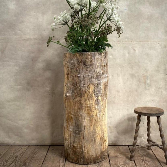 Hollowed Tree Trunk Vessel