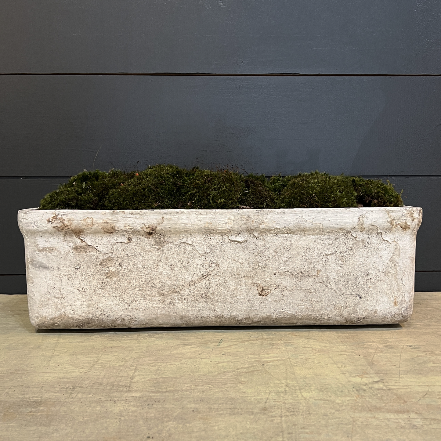 Willy Guhl 24 inch Rectangular Trough Planter