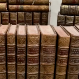 100 Very Old Leather-bound Books