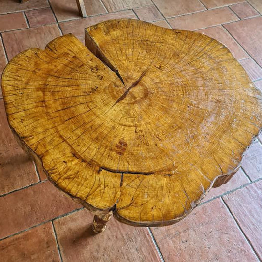 Brutalist Tree Slab Side Table