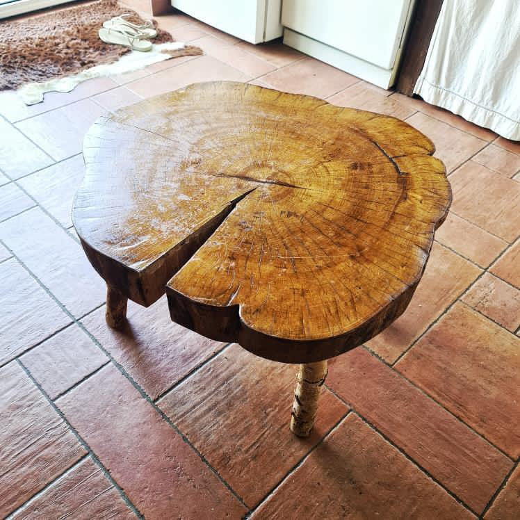 Brutalist Tree Slab Side Table