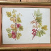 Watercolor with Pencil - 5 Old Frames with Peach Paper Matte - Fruits - Peaches and Strawberries