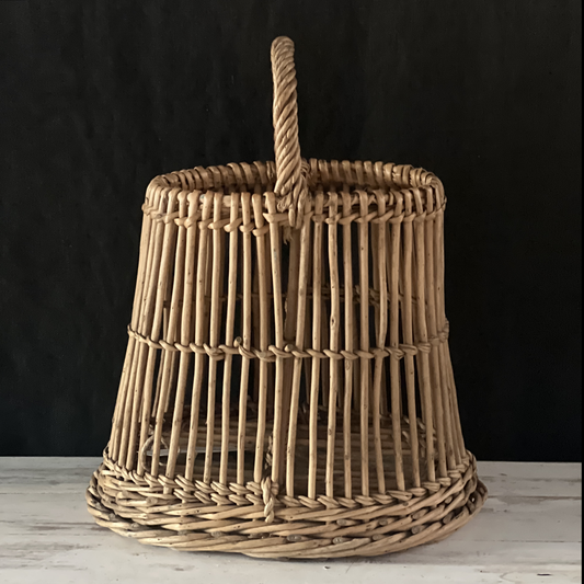 Divided Basket - Unusual Shape