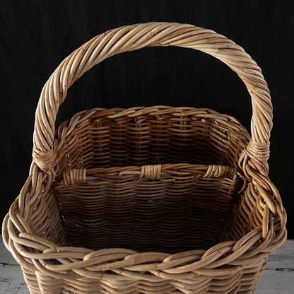 Divided Basket