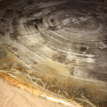 Petrified Wood Serving Tray - Grey/Brown