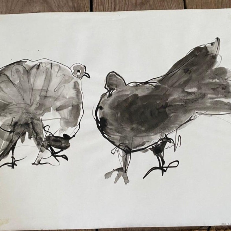 Framed Pen, Ink & Watercolor Birds