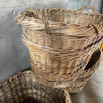 Champagne Harvest Basket