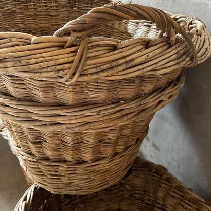 Champagne Harvest Basket