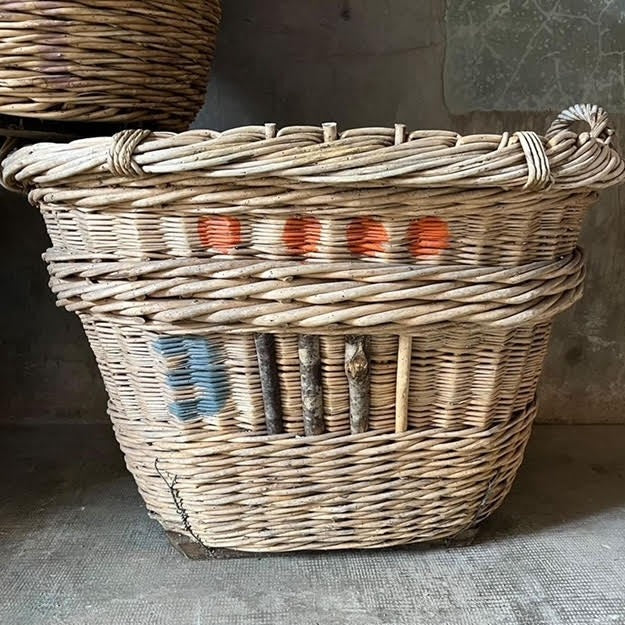 Champagne Harvest Basket