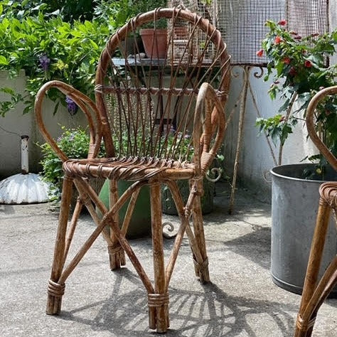 6 Bentwood and Wicker Arm Chairs