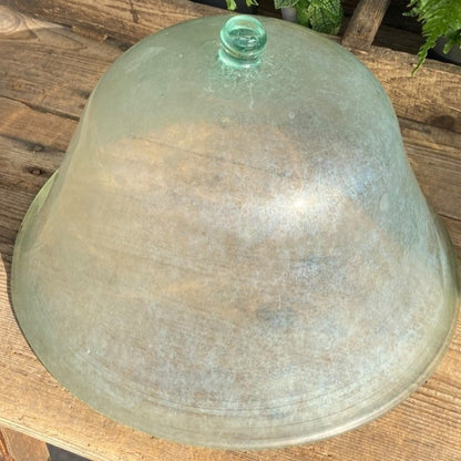 Glass Garden Cloche