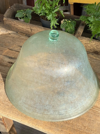 Glass Garden Cloche