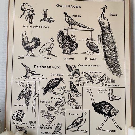 Teaching Chart Two Sided