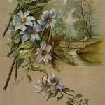 Oil on Canvas - Blue Flowers