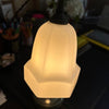Nickel Adjustable Lamp with Opaline Shade