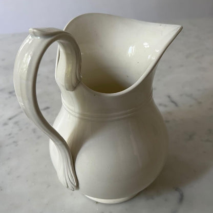 White Pitcher