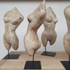Plaster Free Form Busts by Belgian artist
