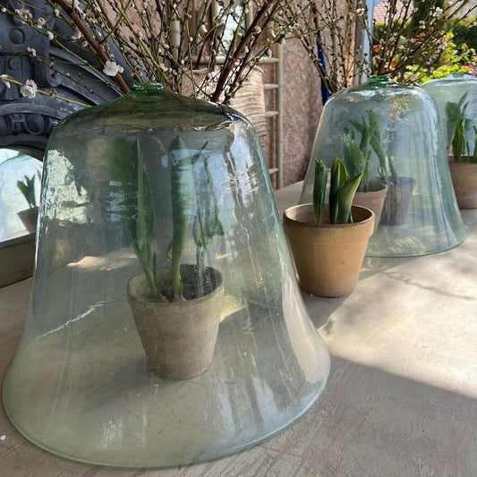 Garden Cloches