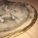 Petrified Wood Plates - Brown/Grey