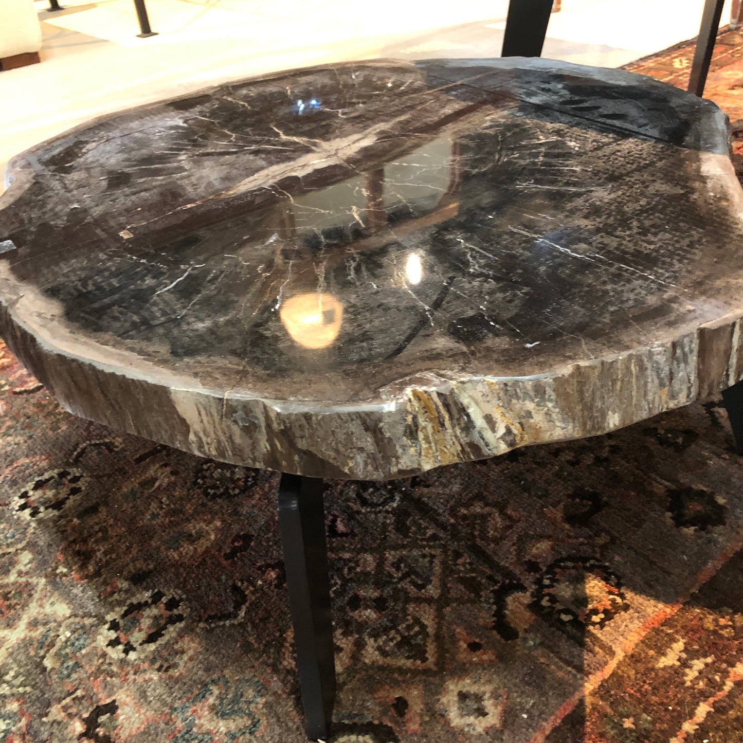 Petrified Wood Slab Coffee Table