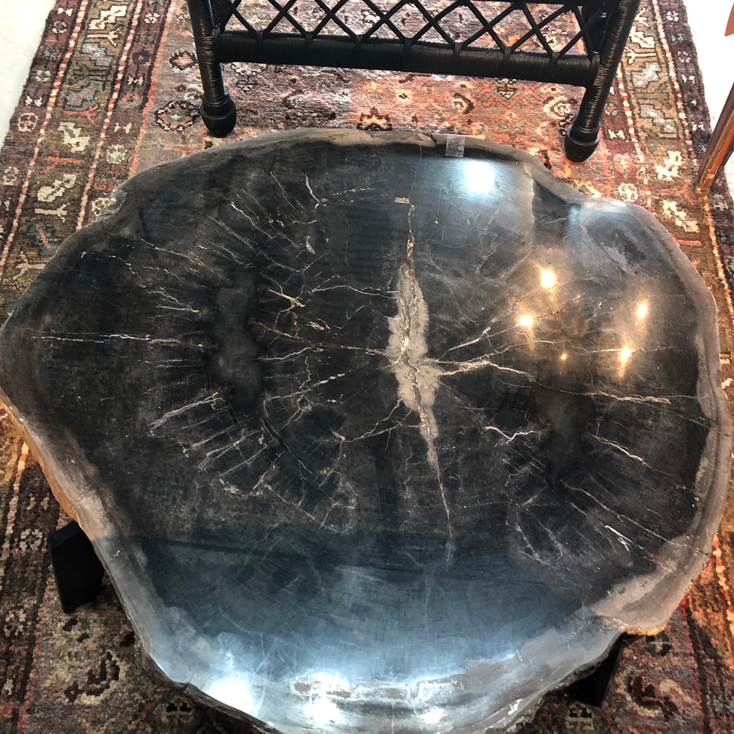 Petrified Wood Slab Coffee Table