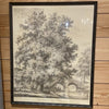 Tree Engravings in Black Frames