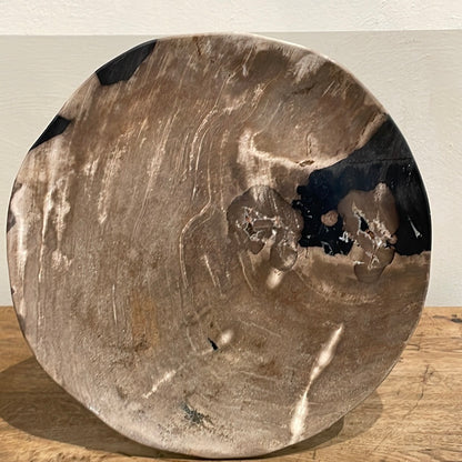 Petrified Wood Plate