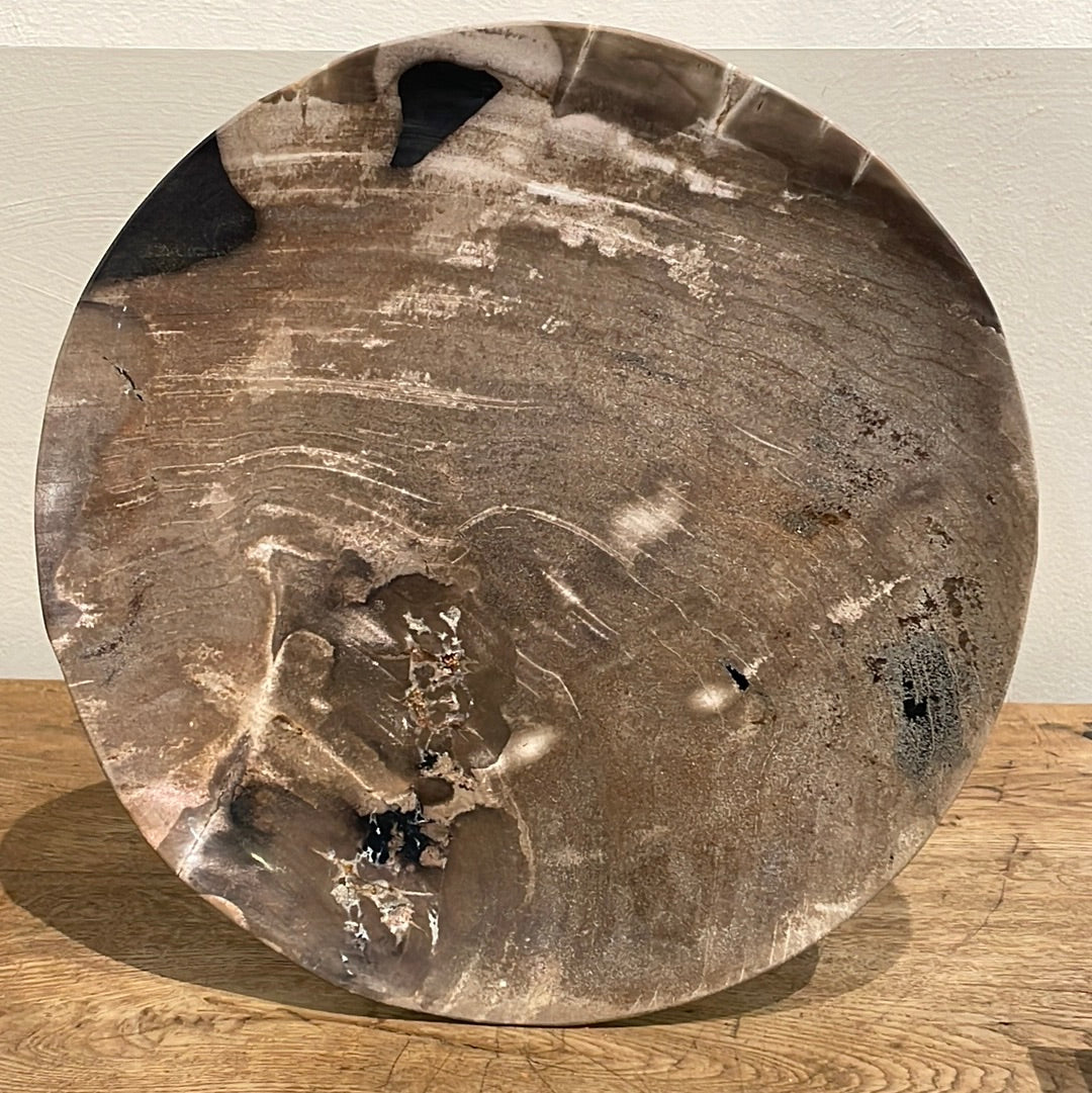 Petrified Wood Plate