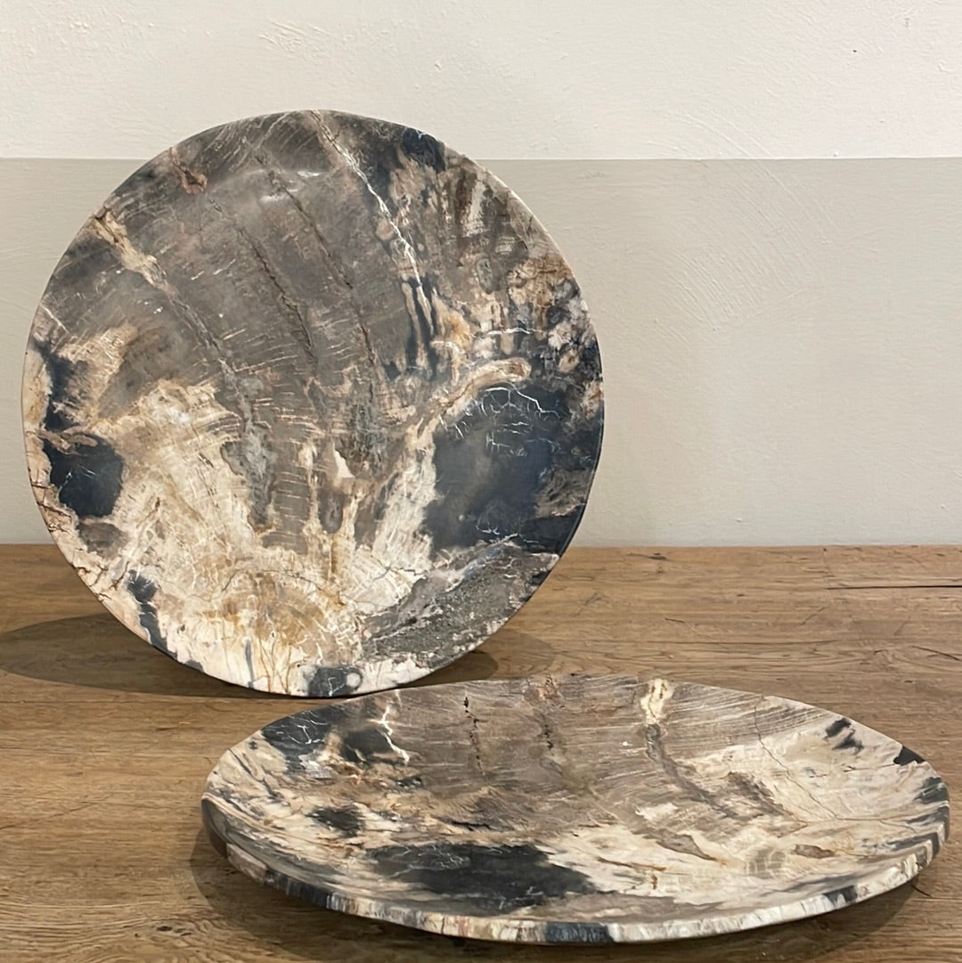 Petrified Wood Plate