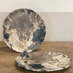 Petrified Wood Plate