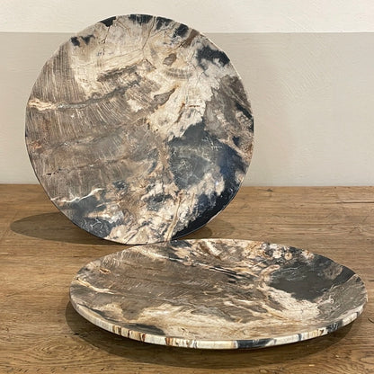 Petrified Wood Plate