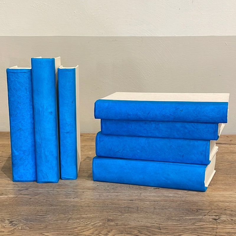 Books-Flat-Blue
