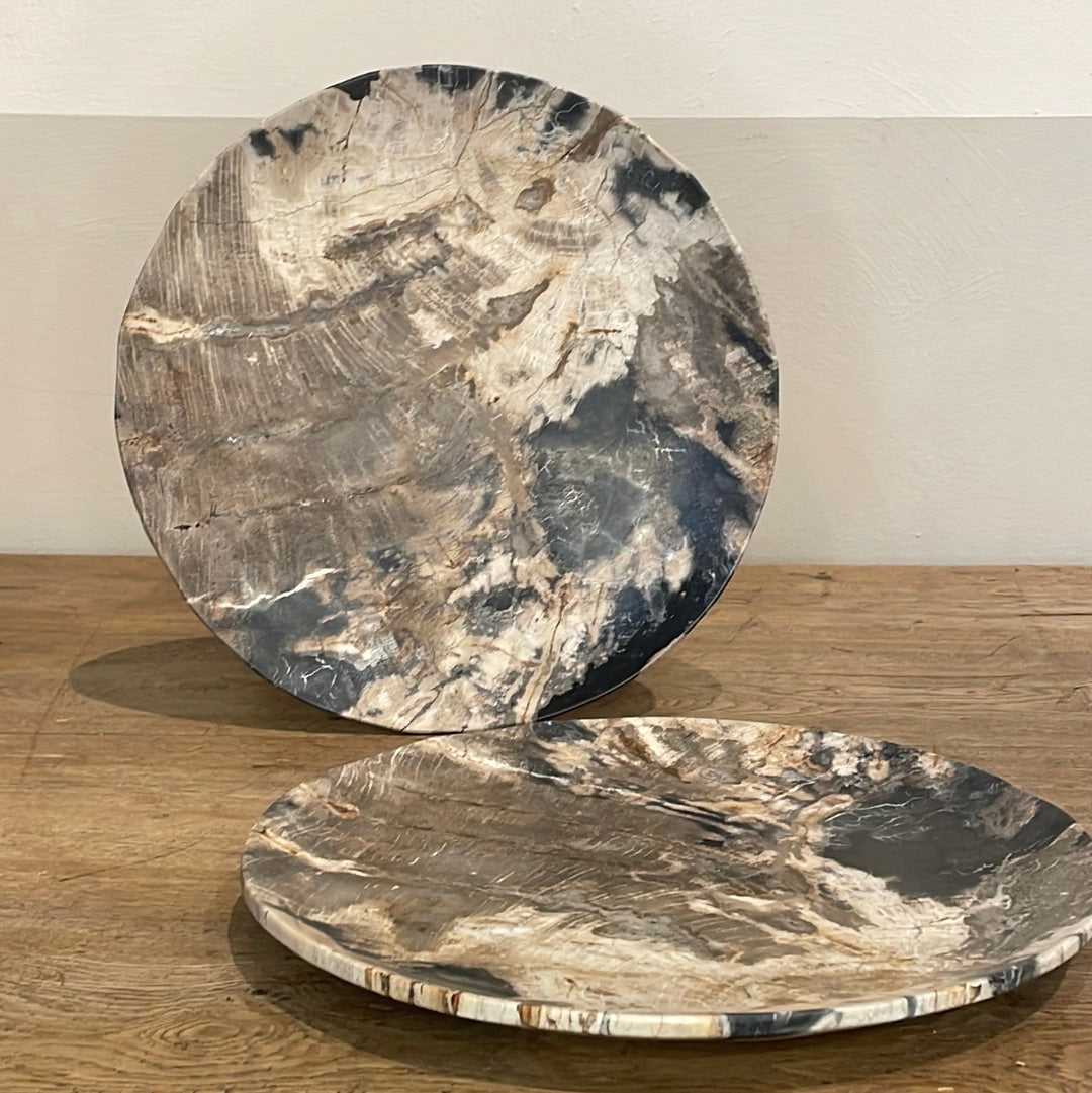 Petrified Wood Plate