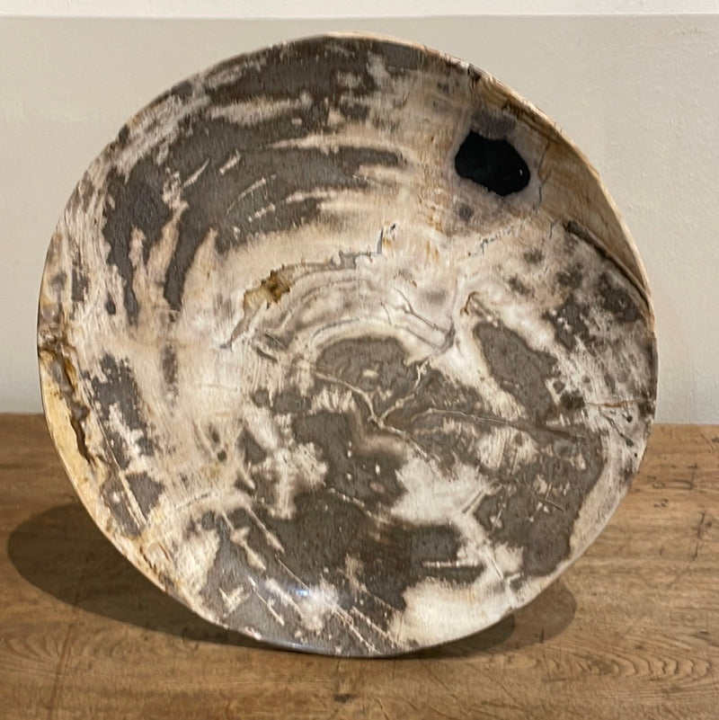 Petrified Wood Plate